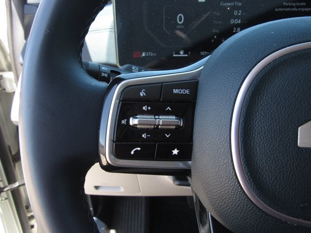2025 Kia Carnival SX